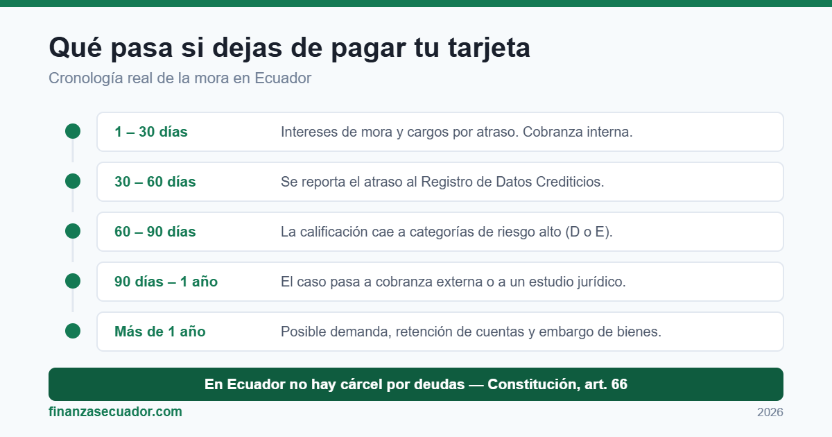 Cronología de lo que ocurre mes a mes al dejar de pagar una tarjeta de crédito en Ecuador